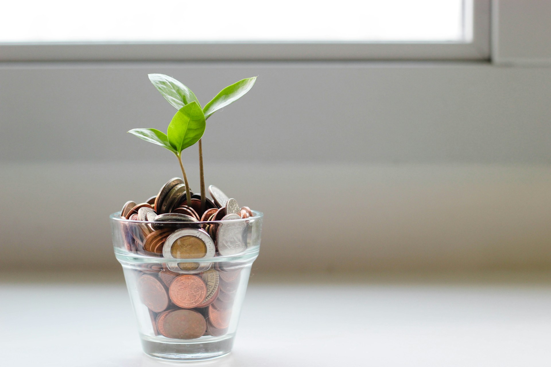 Growing your Business